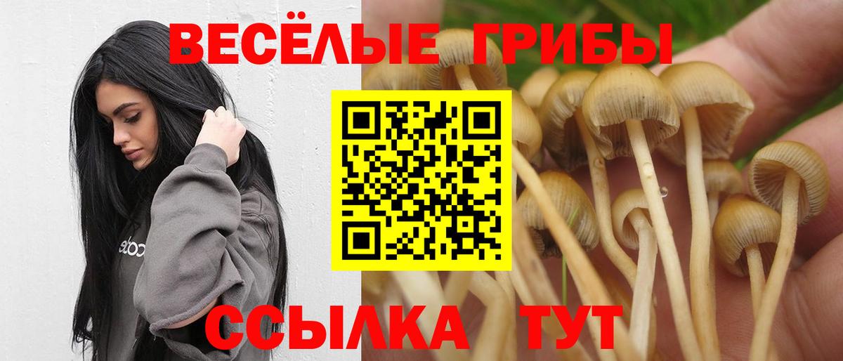 Галлюциногенные грибы мухоморы  Вход с VPN  Псилоцибиновые грибы Psilocybe  Чистополь 
